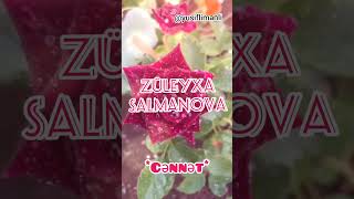 Züleyxa Salmanova  Cənnət [upl. by Nosnevets]