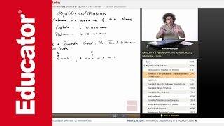 Peptides and Proteins  Biochemistry Tutorial [upl. by Stannfield]