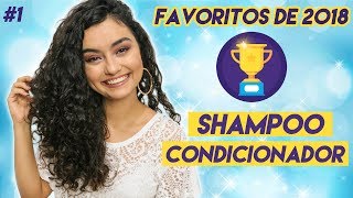 Shampoo e Condicionador FAVORITOS 2018 nolow poo  Morena Raiz [upl. by Sana]