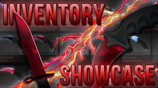 Full Inventory Showcase [upl. by Nutter]