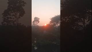 প্রকৃতির প্রেমে পড়ে যাই nature dakiratshorts dailyvlog [upl. by Norvan]