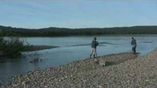 Judd Lake Alaska Sockeye Salmon Fishing [upl. by Aidin884]