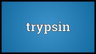 Trypsin Meaning [upl. by Naus]