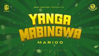 Marioo  Yanga Mabingwa Lyric Video [upl. by Merill594]