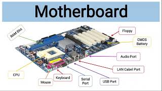 Motherboard  Parts of a Motherboard and their Function  Technical Expert Hindi [upl. by Adyela899]