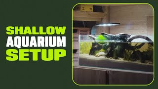 New fish tank My aquascaping journey continues [upl. by Kylander]