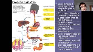 Necesidad de eliminación intestinal y alteraciones [upl. by Lenssen]