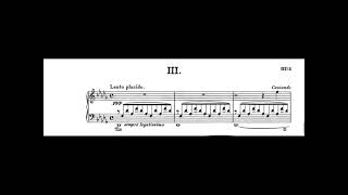 Franz Liszt  Consolation 3 S172 Piano sheet and music [upl. by Eitten349]