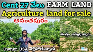 Farm Land 27 Ekara For Sale  panakacherla village Anantapur  Farm land sale [upl. by Avlem969]