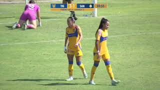 Tigres vs Santos  Femenil sub 19  Resumen 51  J13  Apertura 2024 [upl. by Darwen]