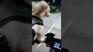 Episode 2 26OCT2024 Saturday Night Ride Braun Loves Adventure on a Honda Sundiro S08 Ebike [upl. by Nylessej]