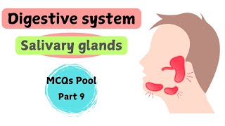 Salivary glands  Digestive System  gross anatomy  MCQs pool  part 9 [upl. by Onailerua29]