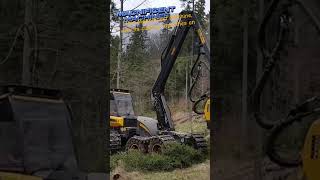 Ponsse Ergo 8W C44 H7 The Giant Wood Harvester of the Forest shorts [upl. by Ethbinium]