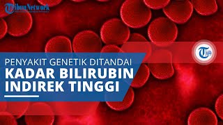 Sindrom Gilbert Jenis Penyakit Genetik Ditandai Kadar Bilirubin Indirek yang Tinggi dalam Darah [upl. by Oiredised]