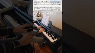 Kawai KDP120 vs Roland RP107 🎶 🎹 Beethoven Op 2 No 1 Mvt I kawai Roland piano [upl. by Attaynek]