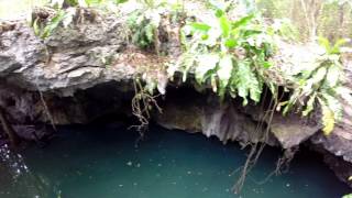 Jade Caverns  Cozumel  Wild Tours  XRail  2015 [upl. by Pincas146]