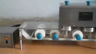 Tablet amp Capsule Feeder For Blister Pack Machine [upl. by Mashe]