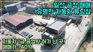 일산 공장 매매  유명 자동차 튜닝 커스텀샵 성업 중 그대로 이전 가능 대형 단독 마당 보유 [upl. by Ailsun682]