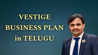 VESTIGE BUSINESS PLAN TELUGU 9704381557 [upl. by Ahrens]