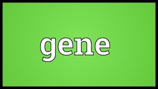 Gene Meaning [upl. by Xonnel948]