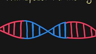 Introduction to Transposons [upl. by Anidem]