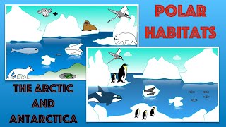 Polar Habitats for Kids Facts and Quiz  Arctic and Antarctica [upl. by Geis]