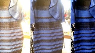 Why millions cant see eye to eye in dress color debate [upl. by Heda]