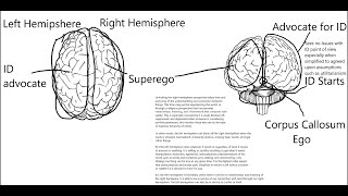 Iain Mcgilchrist and the Hemispheric Differences [upl. by Bledsoe]