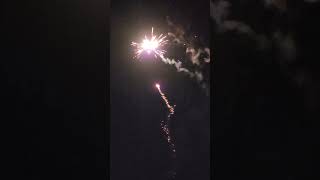 Cobalt Bomb 36 shots  Brothers Firework [upl. by Niloc]