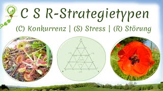 Ökologische CSR Strategietypen nach Grime  Konkurrenz Störungs RuderalStrategen amp Übergänge [upl. by Eelsnia770]