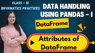 DataFrame Attributes  Data Handling using Pandas  I  CBSE Class 12 Informatics Practices065 [upl. by Minda]