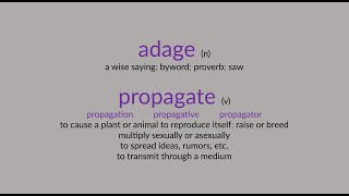 adage amp propagate [upl. by Assilana]