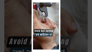 How to cut Dog Nails  Dog Grooming shorts dognailcutting dognails dognailscut [upl. by Thia]