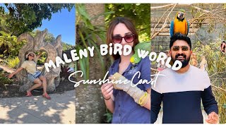 Maleny Bird World Dont miss the end maleny birds australianmallutraveller trending fyp [upl. by Tarttan]