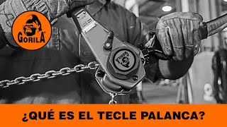 ¿Qué es el Tecle palanca  GORILA [upl. by Ataynik95]