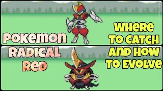 How To Get Bisharp And Evolve To Kingambit In Pokemon Radical Red [upl. by Odranar]