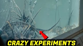 WeylandYutani Facehugger Experiments Revealed In New ALIEN ROMULUS Footage [upl. by Belford982]