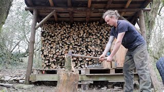 Coppicing A Small Area Of My Woodland For Firewood [upl. by Alboran]