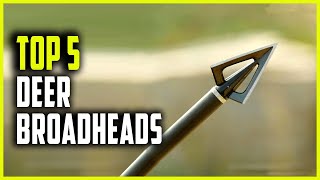 Best Broadheads for Deer  Top 5 Deer Hunting Broadheads [upl. by Bertine]