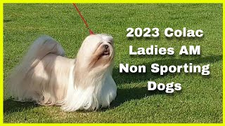 2023 Colac Ladies Show AM  Non Sporting Dogs [upl. by Rudie]