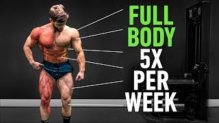 Full Body 5x Per Week Why High Frequency Training Is So Effective [upl. by Abigail357]