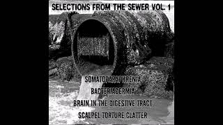 BACTERIADERMA  session 1 2011 quotSelections From the Sewer Vol 1quot compilation [upl. by Retsam853]