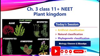 NCERT Class 11 Plant classification [upl. by Vanessa]