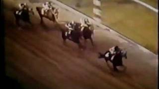 Secretariat  Preakness Stakes 1973 [upl. by Abernathy872]