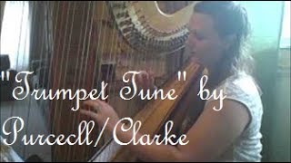 Trumpet Tune Theme Purcell on Harp  The Michigan Harpist [upl. by Jacquetta]