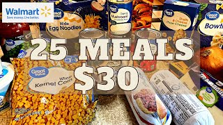 25 MEALS FOR 30  EXTREME BUDGET MEALS  CHEAP MEALS [upl. by Horowitz]