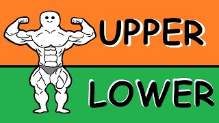 Bodybuilding Simplified Upper Lower Full Explanation  Free Training Plan [upl. by Blatt602]