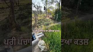 Rat control formula punjabagriculture agripunjab ratcontrol wheatfarming kisan [upl. by Turpin987]