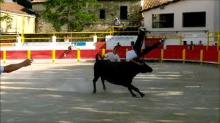 Course Rognonas Manade Du Rhône 31052017 [upl. by Akkinahs]