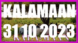 KALAMAAN 31 OCTOBER 2023 [upl. by Sirob]